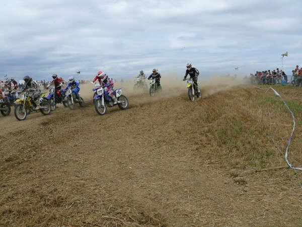 CHEVAL 2008 869.jpg
